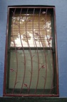 window grille